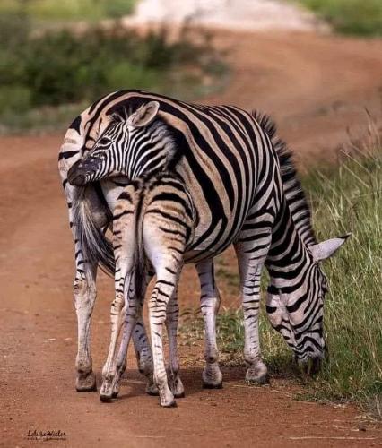 312595499_8504864199531446_6604809310382823981_n