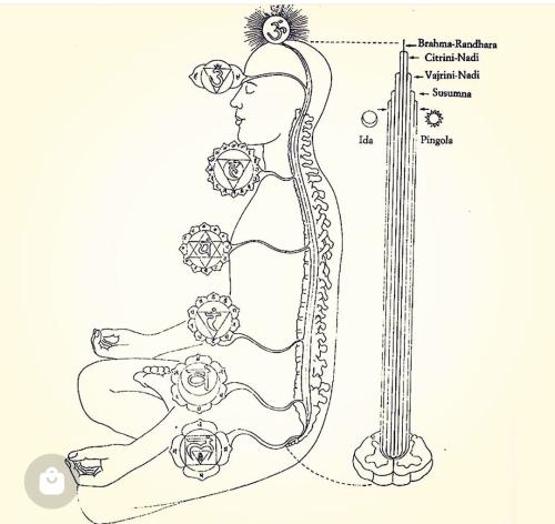 Screenshot_2022-10-26-13-39-07-78_1c337646f29875672b5a61192b9010f9