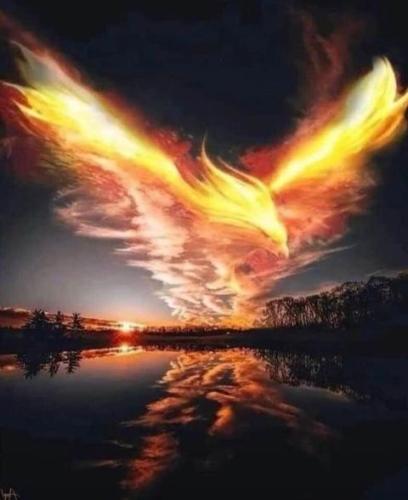 ,                                                                                                                                                                                                                          0 2