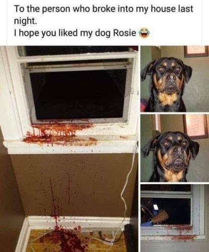 FB_IMG_1664640418557