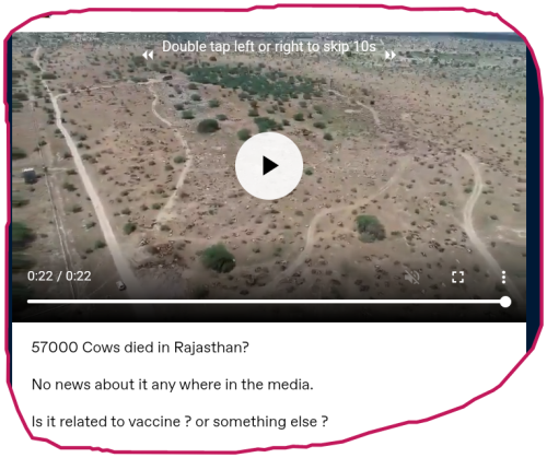 snapshot_www.tumblr.com_1665448247148