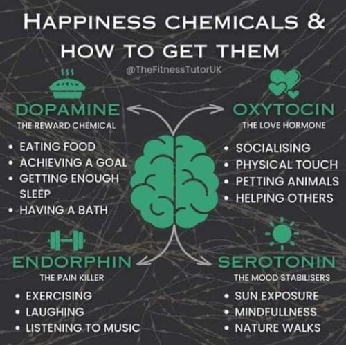 ,                                                                                                                                                                                                                          0 2