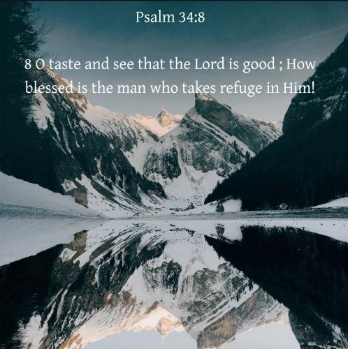 Screenshot_20221031-072605_Bible