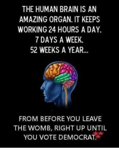 2e3cfa59-0129-4b86-87be-1f1ff3baf083