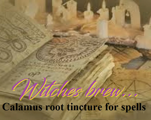 309842988_2419770601494423_4915617652924740723_n