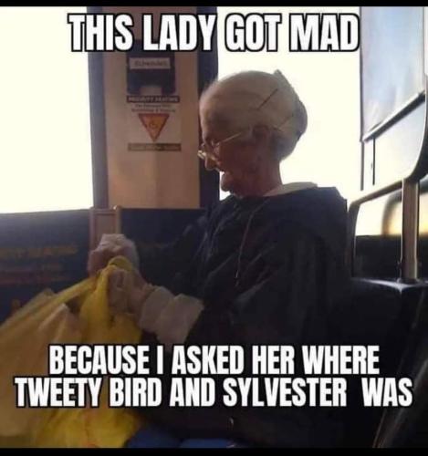 FB_IMG_1666116401195