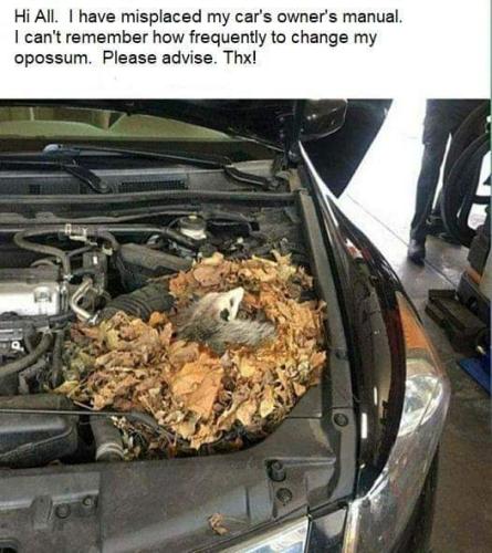 FB_IMG_1665079596643