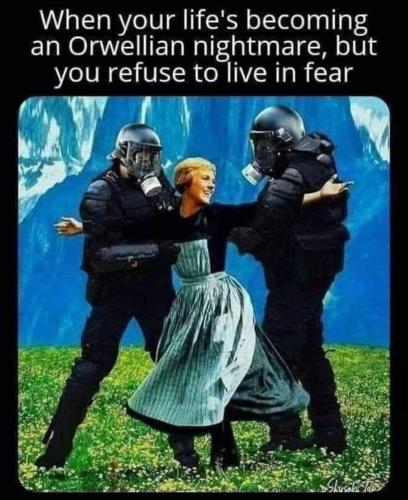 FB_IMG_1666392601258