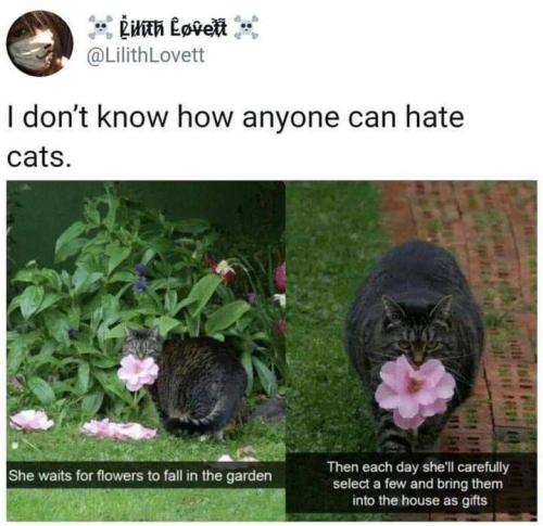 FB_IMG_1665156443701
