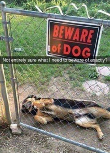 FB_IMG_1665803353054