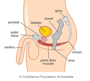 HOW DO I KNOW IF I HAVE A PROSTATE PROBLEM