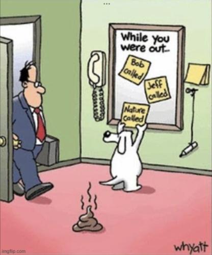 03F91EBC-1ECE-4FB5-A9BF-2ECDAB66E04C