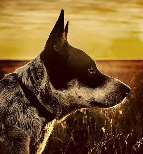 546uJJqRPEOWdPG-BhIcUw