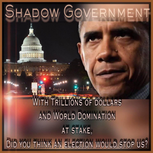 Shadow Government