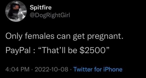 xephula_e0941e7e998fb51da63bdaf23fd14bb8