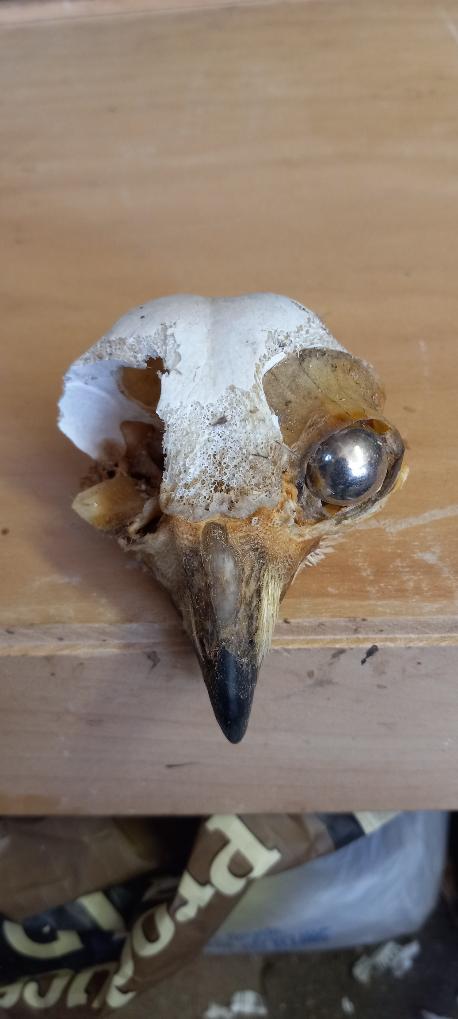 6b021ac8-5b26-4a51-9eff-012216d5bf39