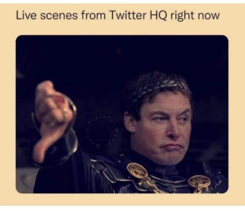 FB_IMG_1667049057976