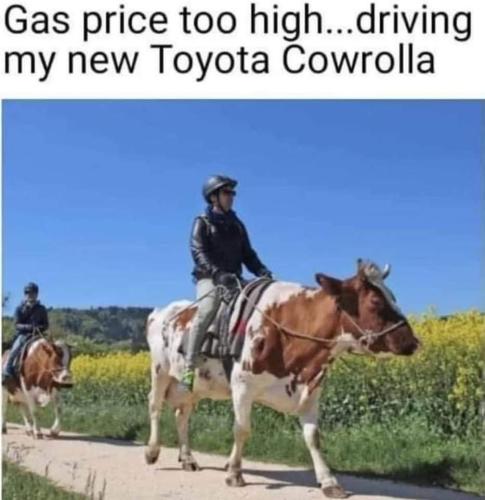 FB_IMG_1665330464267