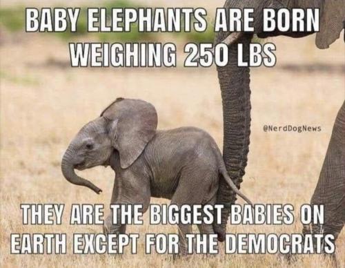 Screenshot_20221004_074601