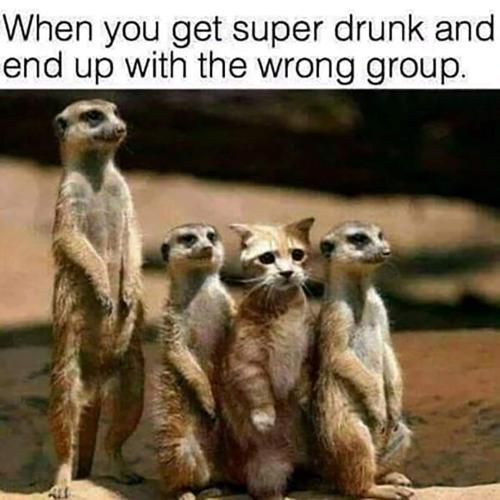FB_IMG_1664865542089