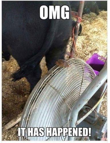 FB_IMG_1666281990849