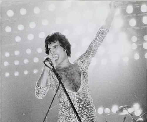 310554219_1306319240142367_1975622872772659359_n