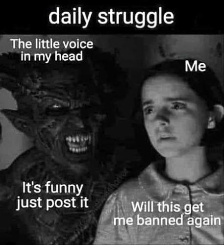 312610768_118486947690992_1508920943086626546_n