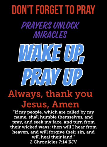 919bee2f-6f94-4f22-aae0-4e8b504d7103