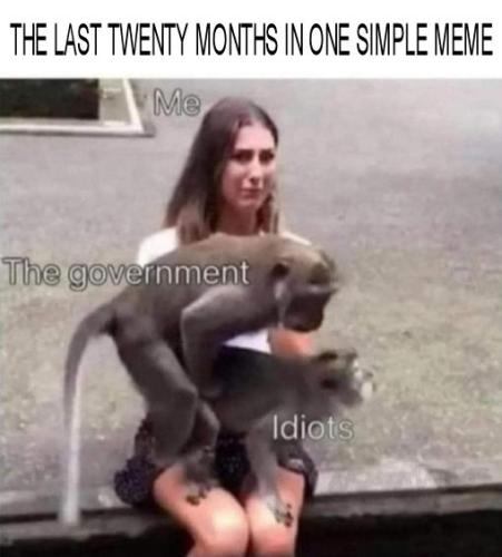 the last twenty months in one simple meme