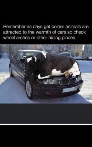FB_IMG_1666639098906