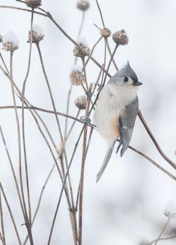 tumblr_3ab786a3979e0e618beb9b8737425d68_2f819da2_540