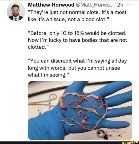 00c93a1b-73a5-4308-87aa-5cea176fae1b