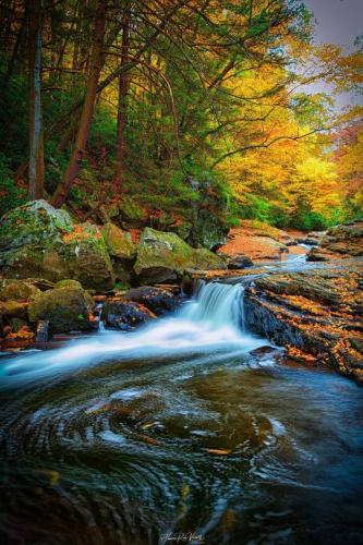 tumblr_18fe7509aa444602a2b8fa4155668d23_5f11e0e3_540