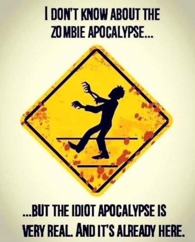 FB_IMG_1666190777308