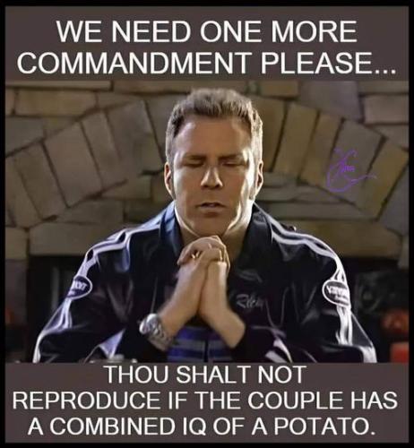 310659006_421314770150337_256179521984623857_n