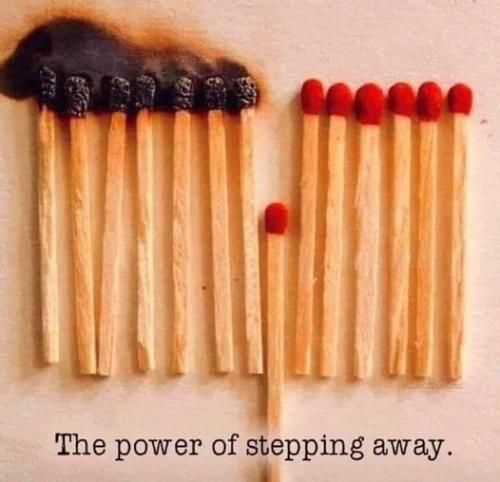 312968731_10159273501574865_9183462792060548810_n