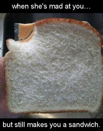 aint no sandwich06