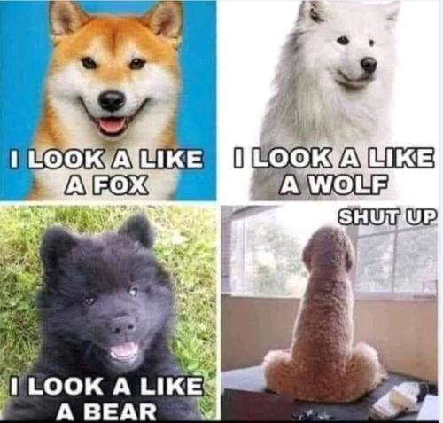 IMG_20221010_005810_834