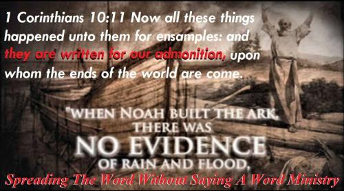 12119929_937369103011888_5379134312935345427_o