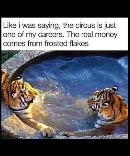 FB_IMG_1664901376123