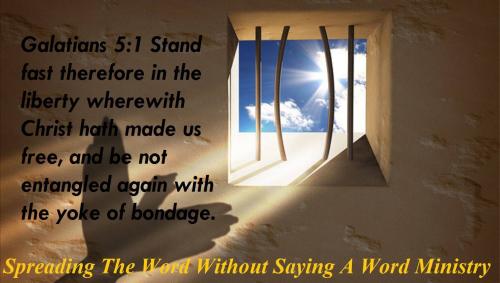 12095010_939578456124286_4740035148565398987_o