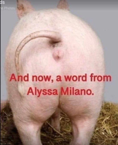 Screenshot_20221018-234240~2