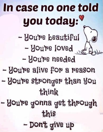 Screenshot_20221018-145452_Instagram