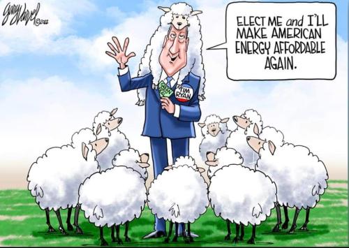 FB_IMG_1665702996287