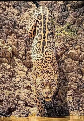 313285214_5457163677735109_2434785996117470267_n