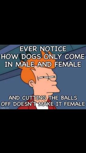 FB_IMG_1666901206528