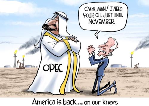 FB_IMG_1665244067283