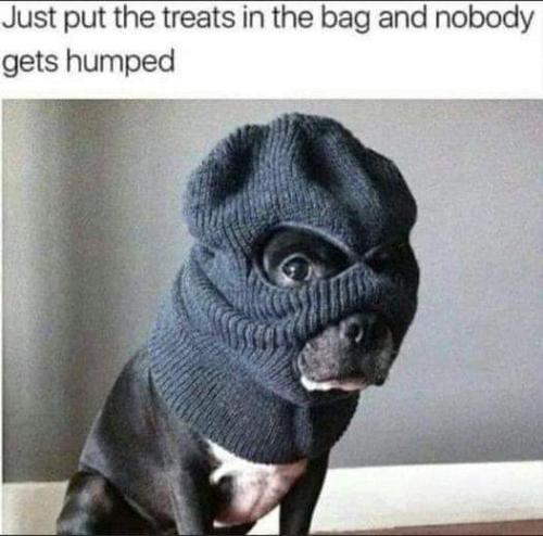 FB_IMG_1666041148463