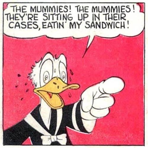 tumblr_b2b5540e206e8f58bdb66068d2f4ad3c_e4a2b5cc_540