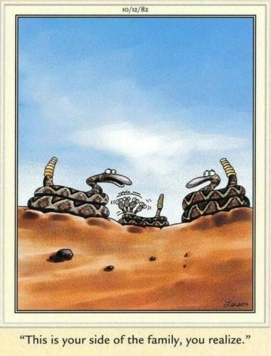 311483548_5920076498004784_4722604001379434993_n